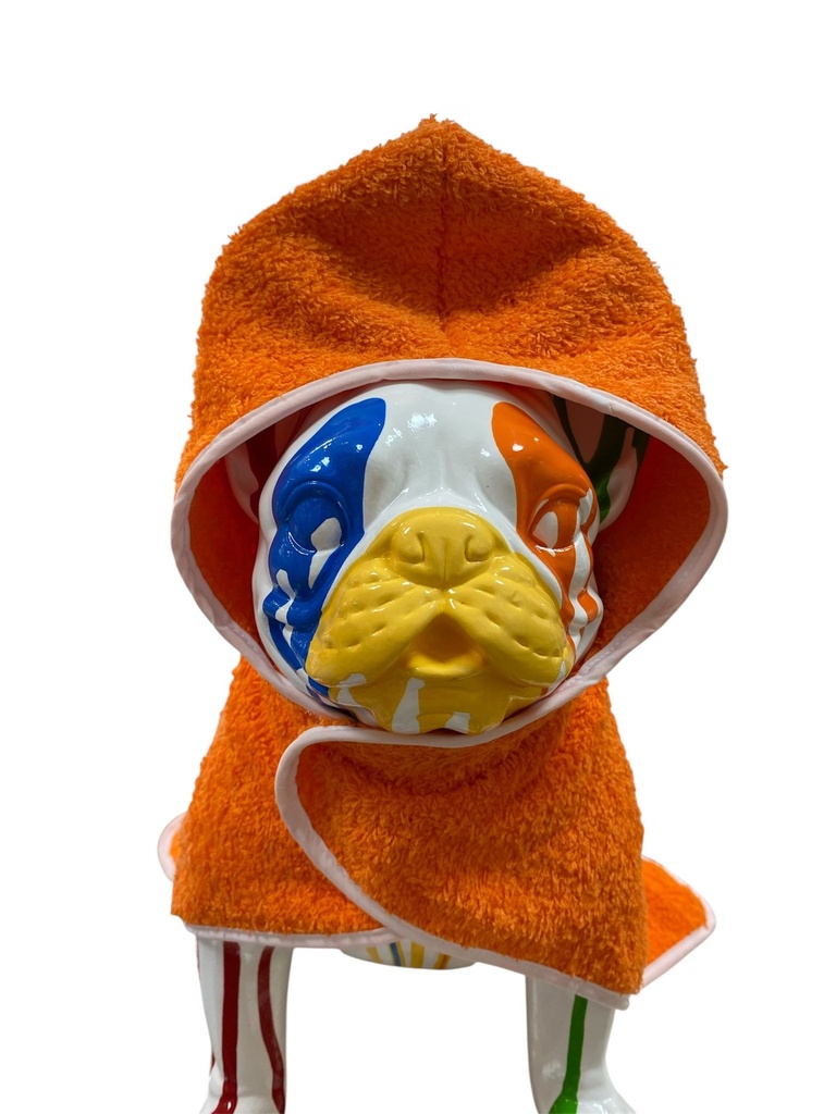 Toalhas com capuz para pets